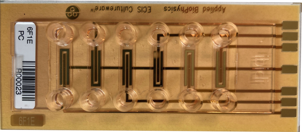 6F1E